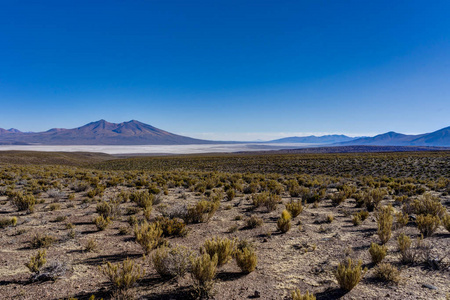 查看横跨高原秘鲁沙漠撒拉族乌尤尼
