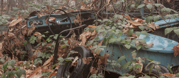 老残破的蓝色车在森林深处图片