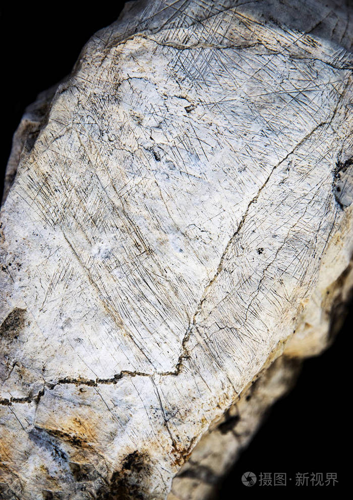 带有划痕的史前石灰石的细节