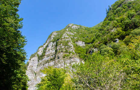 美丽的青山