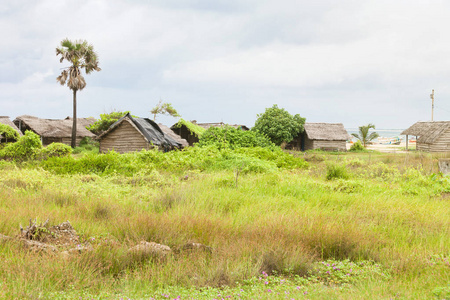 居住在 Talawila, 斯里兰卡