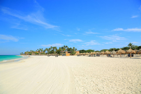 令人惊叹的美丽白色沙滩阿鲁巴岛。 绿松石海水和蓝天。 漂亮的背景。