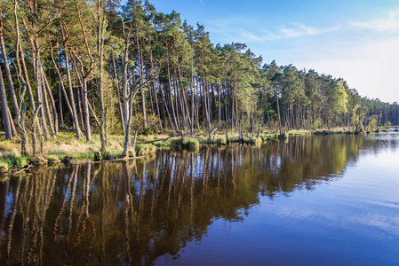 波兰自然保护区