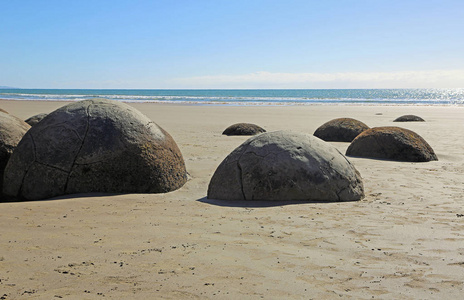 新西兰科科海滩低潮中的Moeraki巨石