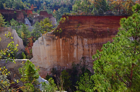 从佐治亚州兰普金的普罗维登斯峡谷国家公园俯瞰可见的红色层