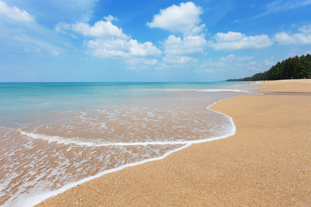 美丽的热带安达曼海海景景观关闭沙滩