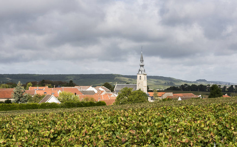 法国干邑区贵族酒庄图片