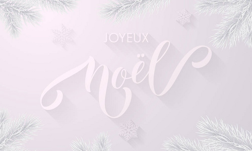 Joyeux 诺法国圣诞假期雪花装饰白色雪霜背景。矢量冷冻冰手画书法字体和冰杉枝圣诞节或新年贺卡