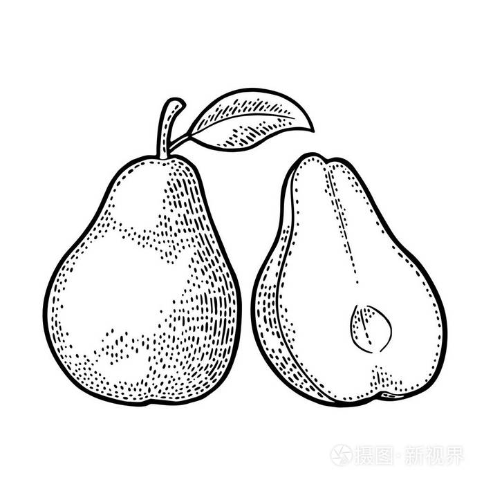 老式黑色雕刻插画-正版商用图片107sx1-摄图新视界