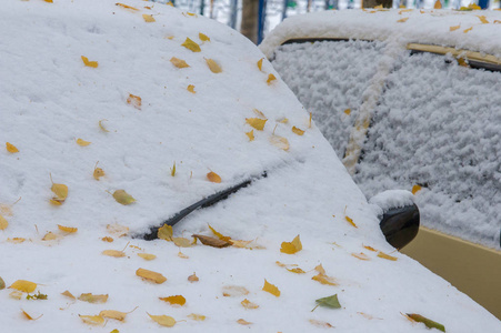 纹理背景图案。 黄红色的秋叶在第一场雪上。 树叶躺在地上的雪上。