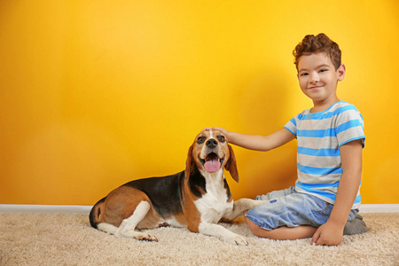 可爱的男孩与狗在颜色墙壁附近