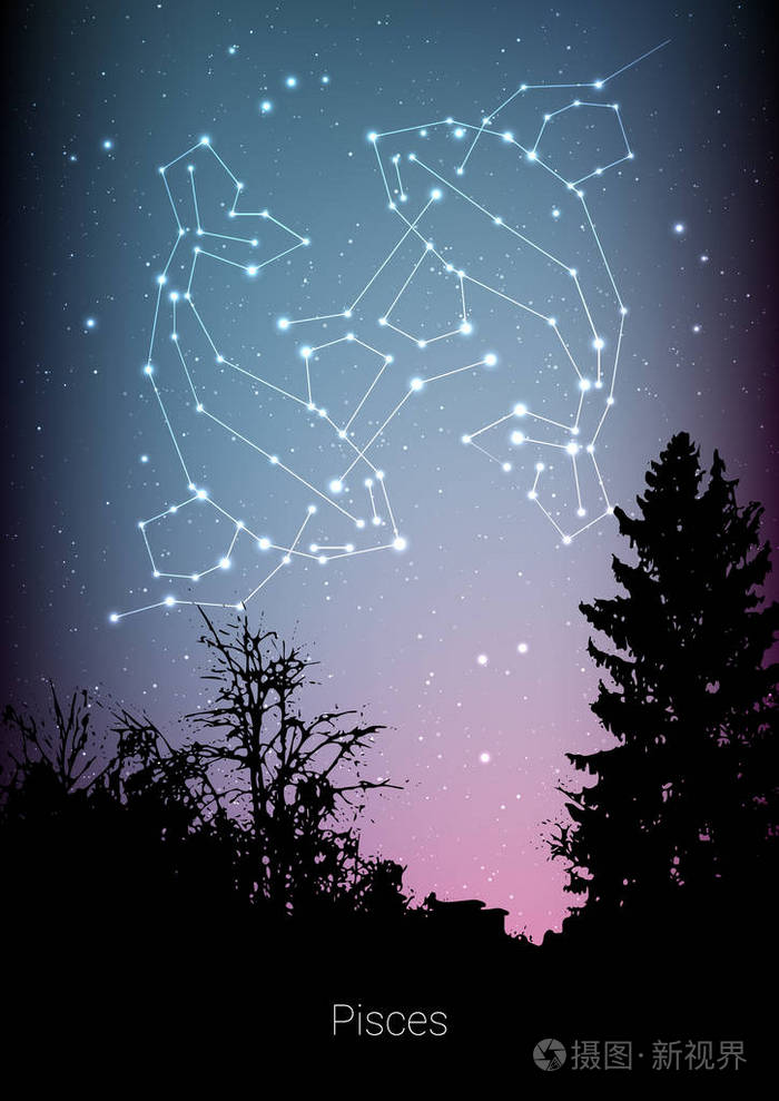 双鱼星座与森林的景观剪影在美丽的星空与银河和空间后面双鱼星座星座