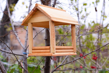 秋季花园的木鸟饲养机。喂鸟的树房子