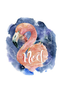 粉红色的火烈鸟与题词诺埃尔水彩手绘圣诞插画