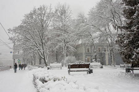 在城市街道上下雪。 风景优美的冬季城市景观。 俄罗斯的欧洲部分。