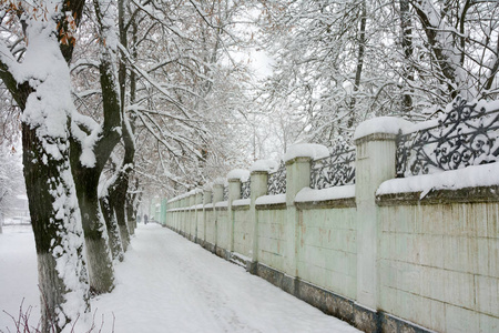 在城市街道上下雪。 欧洲冬季风景优美的城市景观。
