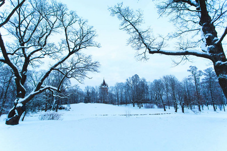 白雪覆盖的冬季公园在晚上