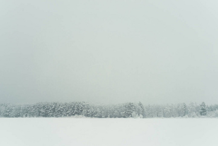 迷人的草地和树木覆盖在冬季雪的景观。水平视图