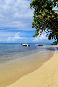 沙滩上的 Taveuni 岛，斐济