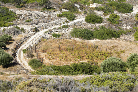 克里特岛上的山和山的道路