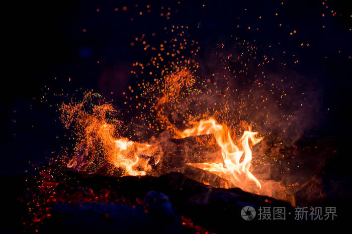 燃烧的树林里有火场,火焰和烟雾.