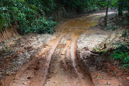 泥泞道路上的轮胎痕迹