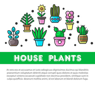 盆栽信息海报设计模板。 国内装饰花矮牵牛玫瑰或花园水仙郁金香和花盆中肉质仙人掌的矢量平线图标