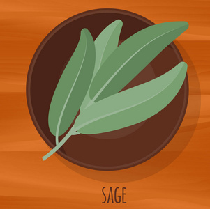 Sage 平面设计矢量图标