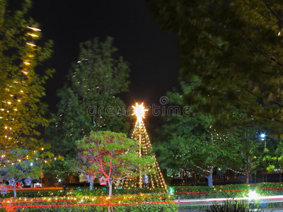 澳大利亚夏夜假日装饰