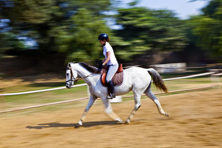 女骑手训练马