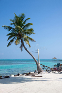 伯利兹caye caulker