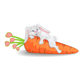 兔计算机胡萝卜兔照片