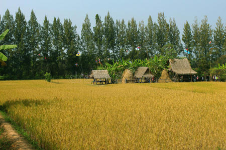 迷你小屋图片