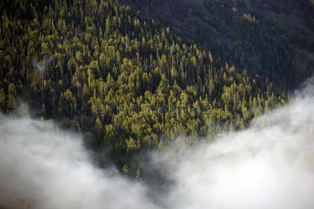 雾蒙蒙的华盛顿山图片