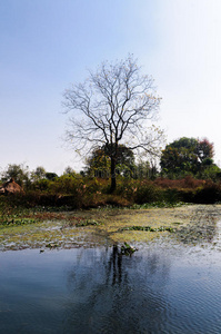 桂林威尔仙卡斯特国家湿地公园图片