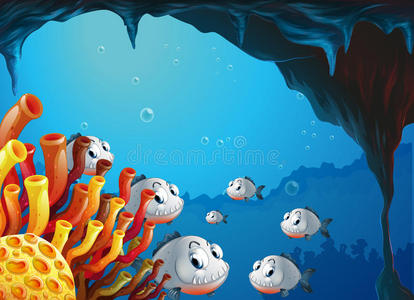 海洞里的一群鱼图片