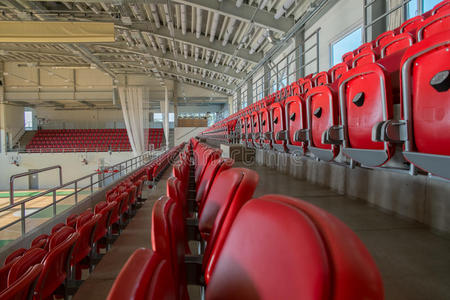 一排的观众图片