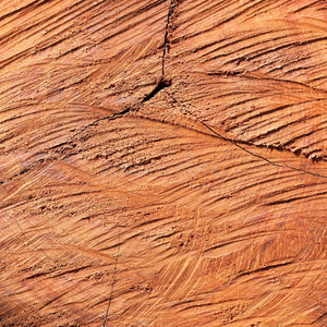 表面木质原木纹理背景图片