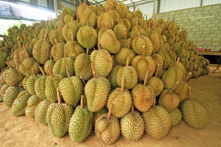 山竹榴莲图片