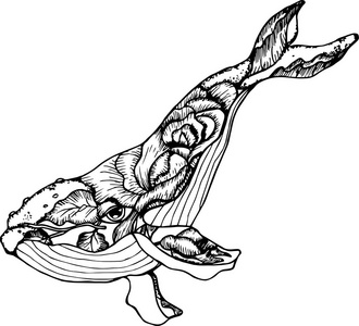 动物线描黑白画图片