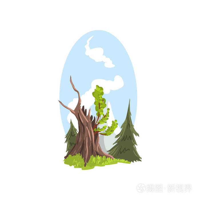 手绘景观幼枝生长从老树 冷杉后面.针叶树和落叶乔木.平面卡通矢量