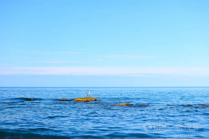 令人惊叹的景观的一望无际的大海,在温暖的夏季晴朗的天空下