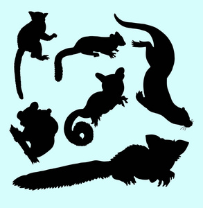 黄鼠狼松鼠和考拉哺乳动物的轮廓。 良好的使用标志网页图标符号或任何您想要的设计。