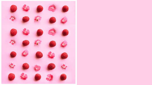 时，新鲜采摘成熟覆盆子，粉红色背景