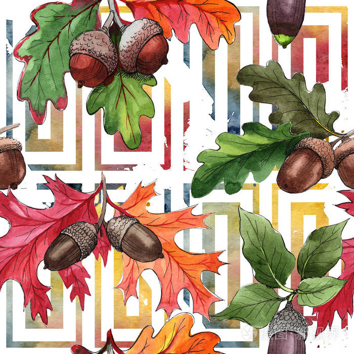 森林橡子在手画水彩样式隔绝了