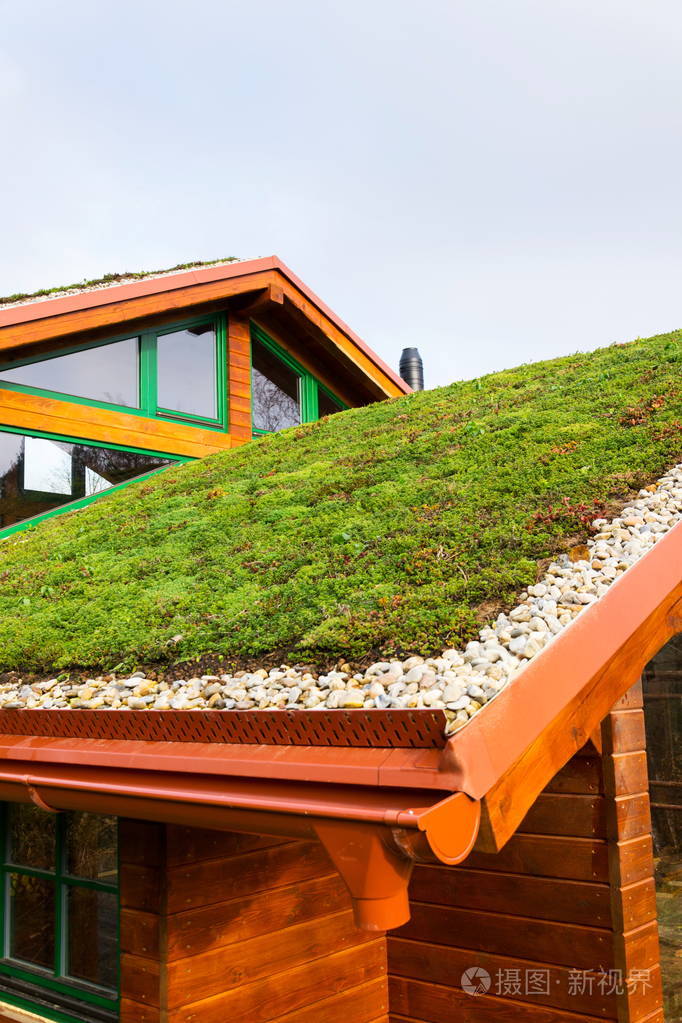 绿色生态草皮屋顶覆盖着植被主要是sedumsexangulare也被称为无味匍匐