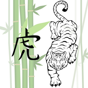 美丽 野生动物 进取 愤怒 脸 猫 条纹