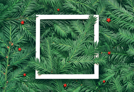 创意布局由圣诞树树枝制成的纸卡便笺。平躺。自然新年概念