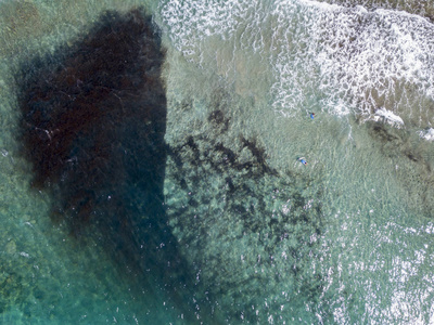 海上岩石的鸟瞰图。 从透明水上方看到的海底概览。 游泳者浮在水面上