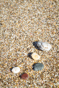 夏日海边的海石